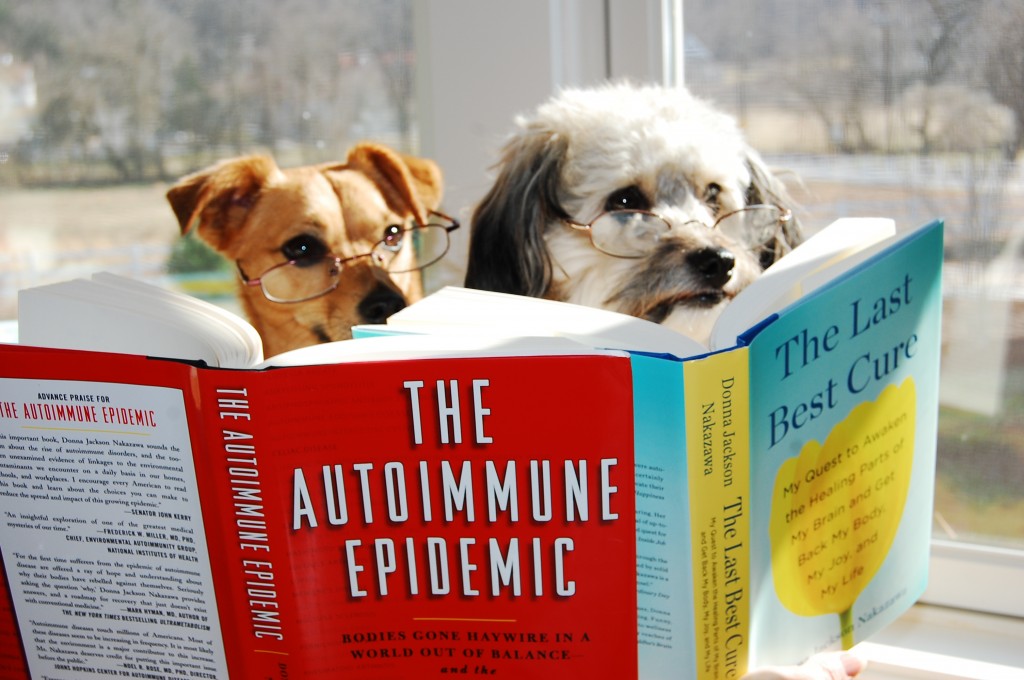 photo of dogs with glasses reading