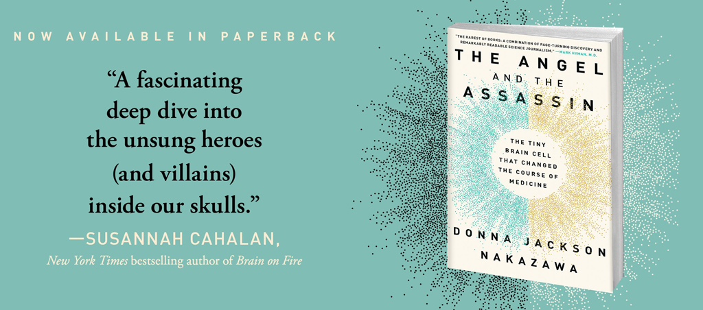 The Angel and the Assassin now in paperback